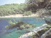 Lussino - pineta